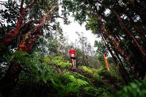 BIB: 
                            <button type="button" onclick="openModal(26203320)" class="btn btn-primary btn-sm float-right btn-popup" data-toggle="modal" data-target=".modal-high-quality">
                        <i class="fas fa-shopping-cart"></i> Add to Cart
                    </button>
                                            <button type="button" onclick="isThisMe(26203320, true)" class="btn btn-success btn-sm float-right btn-popup btn-isme hidden" data-toggle="tooltip" data-placement="bottom" title="นี่คือรูปของคุณใช่ไหม คลิกที่นี่เพื่อเอาเข้าอัลบั้ม">
                        <i class="fas fa-plus"></i> Add to album
                    </button>
                    <button type="button" onclick="isThisMe(26203320, false)" class="btn btn-warning btn-sm float-right btn-popup btn-isnotme hidden">
                        <i class="fas fa-ban"></i> Remove from album
                    </button>